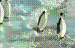 tvmp123