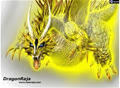 DragonXIII
