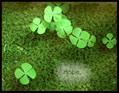 Clovers