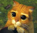 meoconn69