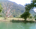 duythoi