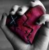 Heart1Mb