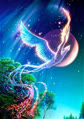 NightPhoenix