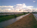 choychoy