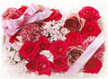 lovelaw