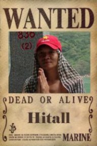 hitall