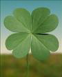 lucky...
