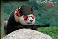thanhlonglhu
