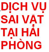 dichvusaivat