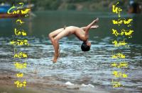 haiphong1234