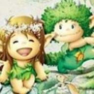 sushicahoi88