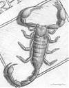 Scorpion54