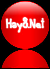 hay8.net