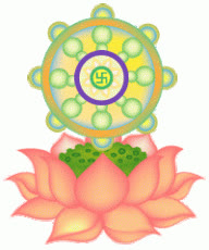 daiam-nuichua