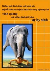 hainhvn83