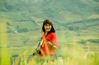 XiNhe
