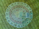 changaica