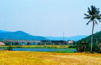 linh04