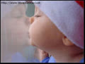 cobe_nhannho