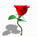 chip_coi
