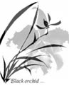 Black_Orchid