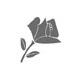 kieucuong