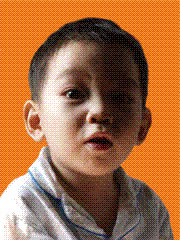 dvtrang