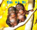 lqmttt