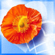 heart_on_fire