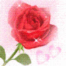 quocbao_tran