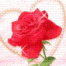 Fly_Babe