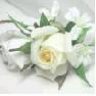bong_hong_thuy_tinh_2005