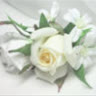 gentle2111