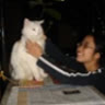 babycat2910