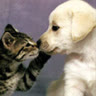 Thien_Lam