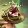 XaVuong