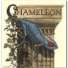 the_chameleon