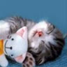 nomeames_tiamo