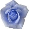 Love5464