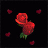 xuongrong_nho86