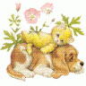 thien_than_hoa_nho