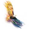 daibangdo_indian