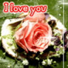 hanguyen29