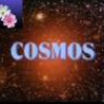 cosmos79
