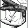 hoanvk1205