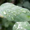 dangkykhongduoc