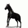 trungson2000