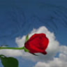 dang_tieu_binh