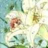 meo_30787