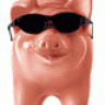 vob